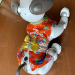 aibo⑭〜rei2024様専用ページ