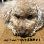 maro.maro1224様専用です。