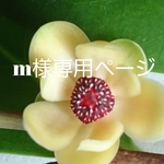 m様専用サイズによる追加料金