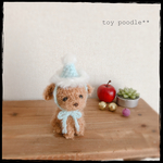 ＊サンタ帽子のトイプーちゃん(レッド)＊