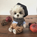 オーダーメイド　シーズー  ワンピースセット