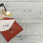 ✉L.A.Nが作ったCCB leather case ✉【牛革　ダークオレンジ系】