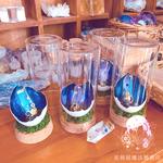 宙たまごの標本 A　
