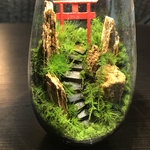 苔テラリウム　LEDライト蓋付き 黄金木化石の山　鳥居