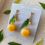 《orange×みかん》フルーツ風ピアス/イヤリング＊ドライフラワー