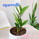 syuro様 専用ページ