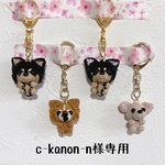 c-kanon-n様専用ページ