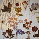 海外シール ＜Natural collecction・森嶋之歌＞フレークシール