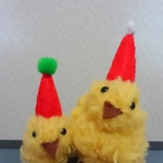 もこもこひよこのX'mas(ホワイト&グリーン)