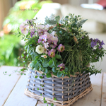 四角いバスケットに春の花のギャザリング寄せ植え