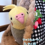 【Ｌｻｲｽﾞ】リバーシブルCHANGEテント