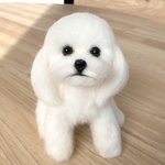 羊毛フェルト　犬　マルチーズ