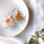 かすみ草♡ブーケピアス/イヤリング