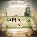 専用ページA