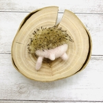 羊毛フェルト ハリケツ【脱走】マグネット  シナモン(小)