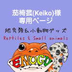 [茄椅菰(Keiko)様専用]爬虫類ステッカー