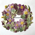 sale 【 押花素材222】シャビーなリース　ワレモコウ シュウメイギク　秋色アジサイ　レジン/アクセサリー/証明書/押し花アート　