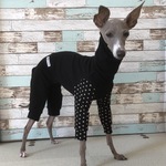 イタグレ服 スーパーブラックロンパース