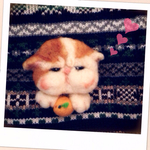 ブサかわ  ニャンコちゃん  みかんが大好き羊毛ブローチ