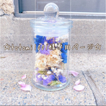 ☆totomi1001様専用ページ☆