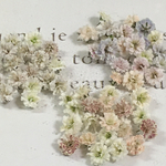追加♡先行販売♡かすみ草　ドライフラワー　pastel mix