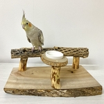 【noelnoel25様】カクタスボーンのスタンドパーチ（おやつ入れ付き）中型インコ・小型インコ