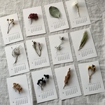活版印刷の植物カレンダー②