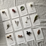 活版印刷の植物カレンダー③