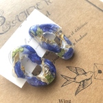 botanical デルフィニウム　　　ピアス・イヤリング・樹脂ピアス・樹脂ノンホール