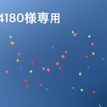 masa4180様専用商品
