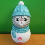 雪だるま★エキゾチックショートヘア①