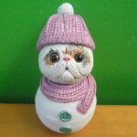 雪だるま★エキゾチックショートヘア②