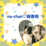 na-chan♡様専用