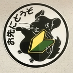 チンチラお先にどうぞ(初心者マーク)