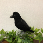 羊毛フェルトのハシブトガラス