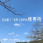 専用です