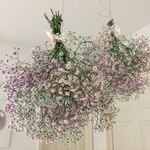 flower cloud  " cocktail "  かすみ草 フレッシュ ドライフラワー リース ブーケ スワッグ 