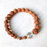おしゃれデザイン❤️菩提樹の実・ルドラクシャブレスレット✨シンプルな天然素材 -Rudraksha-
