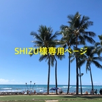 SHIZU様専用ページ イーマリーちゃん着せ替えお洋服　グリーン　花柄サロペット
