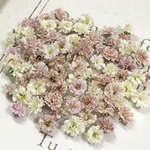 小粒　かすみ草　ドライフラワー　classic mix