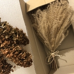 ❁⃘ふわふわススキのスワッグ(今期残り少し…)