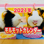 【モルモット】2021カレンダー