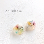 冬の中に眠る春（ 冬 春 イヤリング ピアス サージカルステンレス 樹脂ピアス ピンク イエロー パープル 紫 黄色 桜 雪 雪の結晶 ブルー 青 可愛い 大人可愛い レジン ）