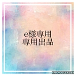 e様専用出品