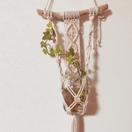 Macrame plant hanging 17