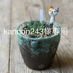 kannon243様専用＊リメイク鉢とねこけしピック