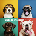 shooooona様専用ページです。　犬　ステッカー　多頭飼い　3匹　3頭　柴犬　イングリッシュコッカースパニエル　チワックス　038dm　【再送】
