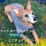 nonnonbaba様専用   ミニチュアピンシャー ドビーちゃん うちの子オーダー樹脂粘土