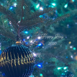 Happy Bag 2020【a】