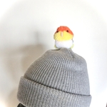 もけもけシロハラインコさんonニット帽
